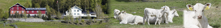 Kaldor farm